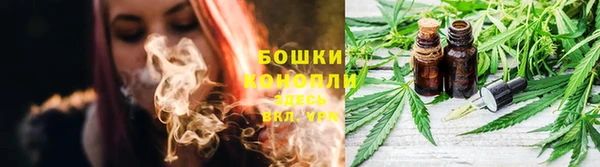 прущие грибы Богданович