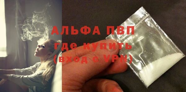 прущие грибы Богданович