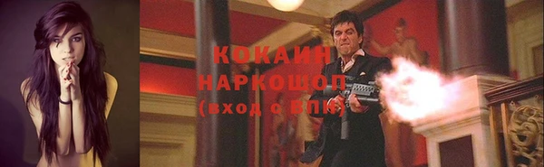 прущие грибы Богданович