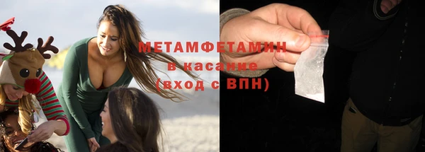 прущие грибы Богданович