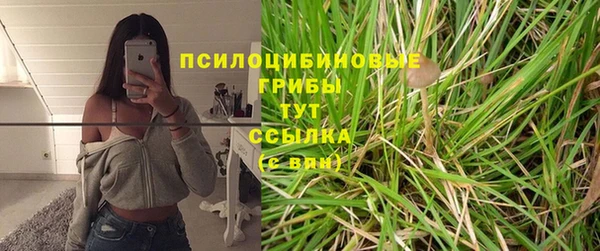 мефедрон Богородицк