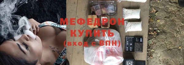 прущие грибы Богданович