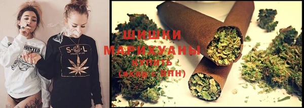 прущие грибы Богданович