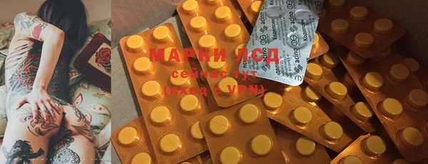 прущие грибы Богданович