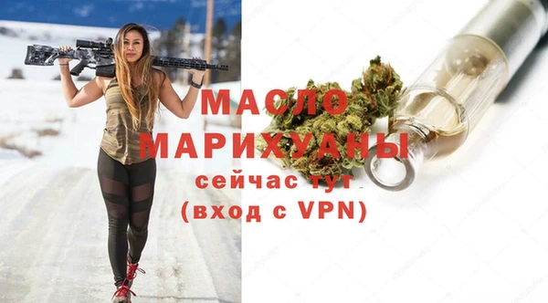 МДПВ Бородино